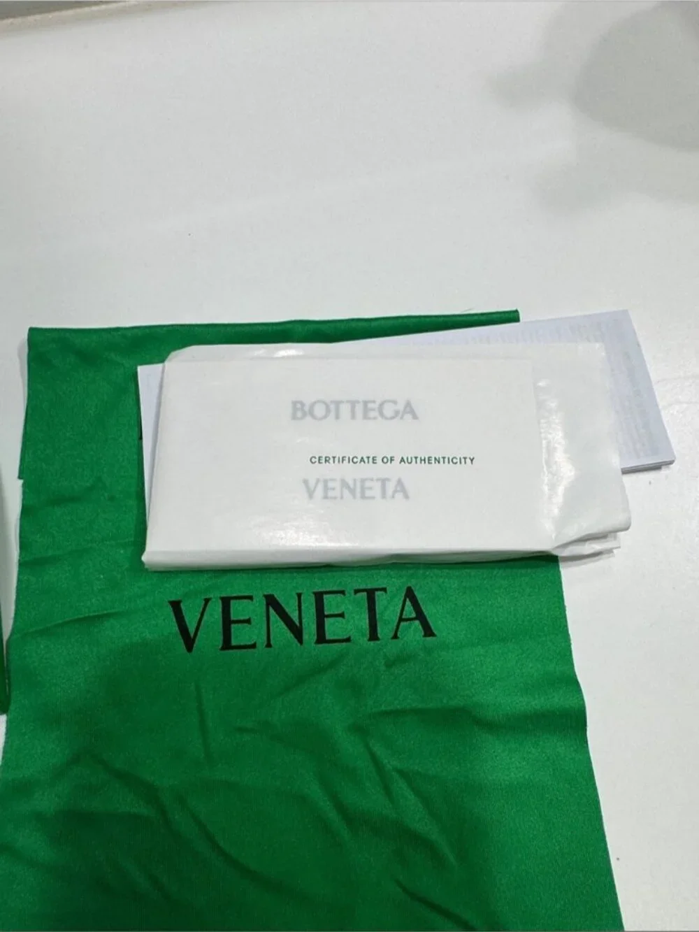 Bottega Veneta stylish cat